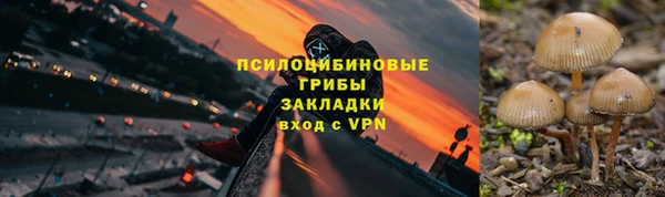 прущие крисы Абинск